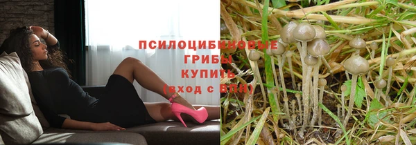 мяу мяу кристалл Покачи