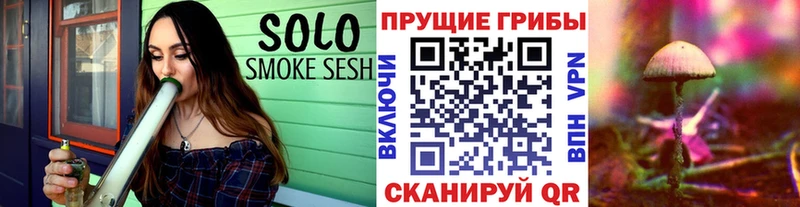 Псилоцибиновые грибы Cubensis Яранск